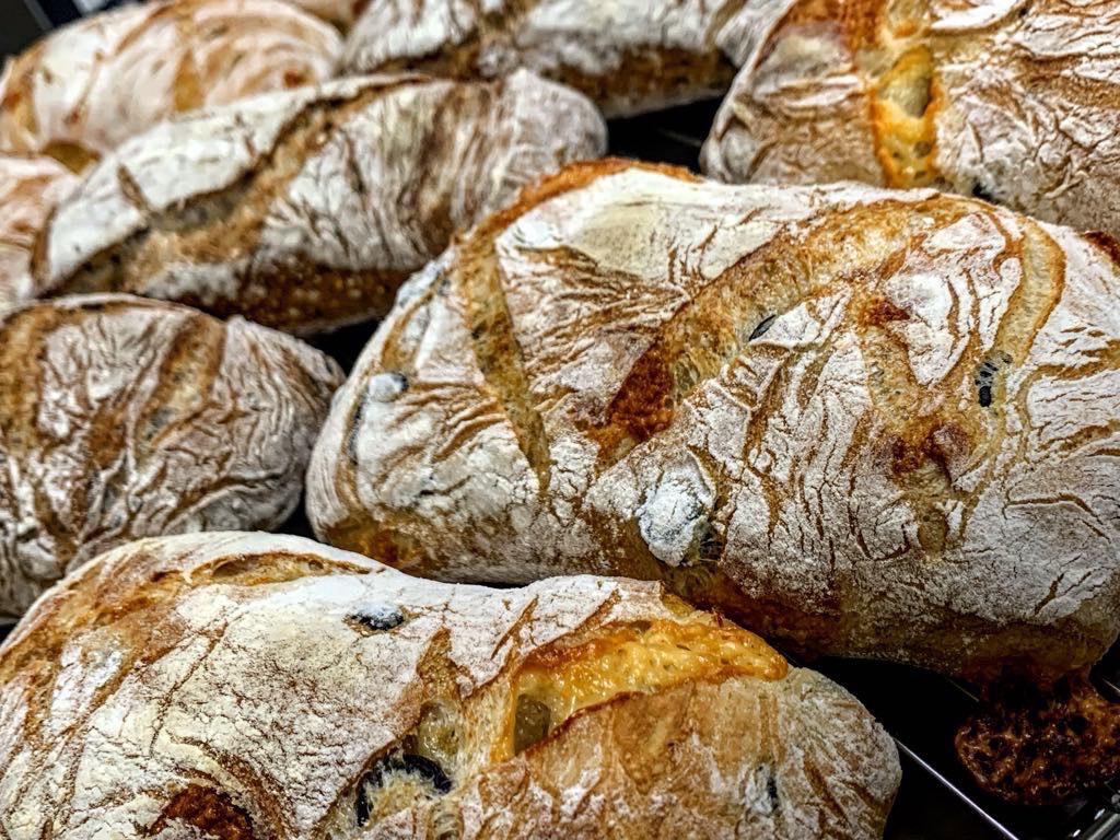 cdb6982a-4770-4040-8fe4-d1b1c3933eab