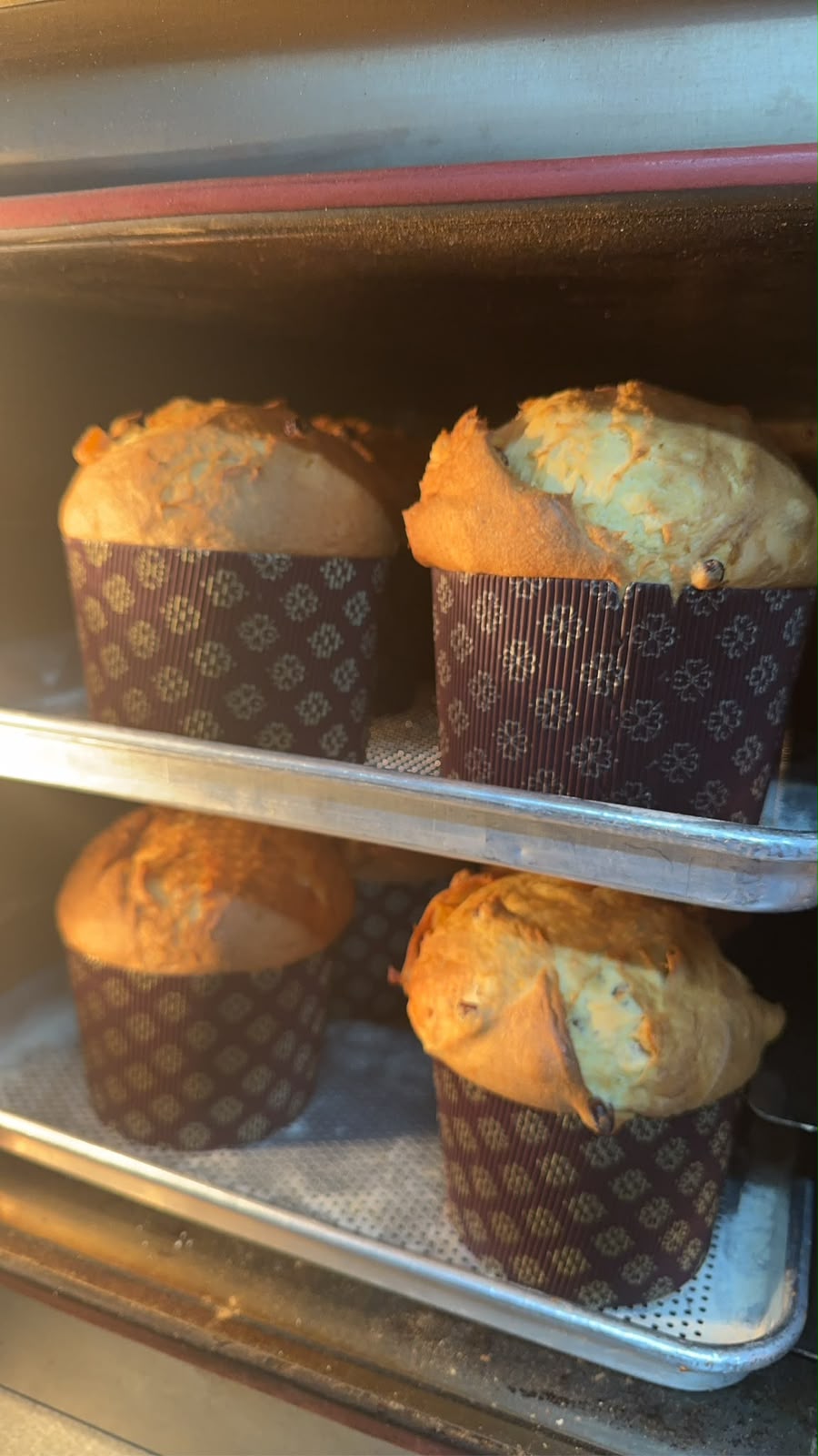 Panettone & Sourdough 2.0-1